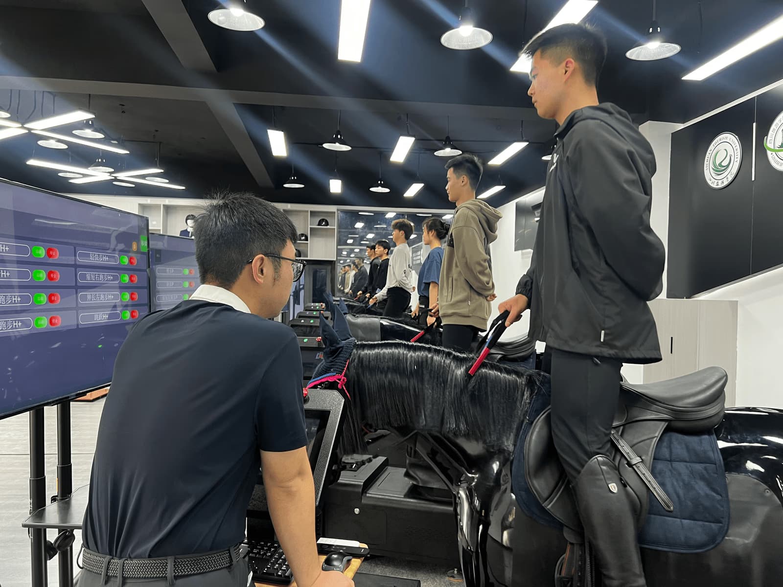 Equestrian simulator for schools and universities