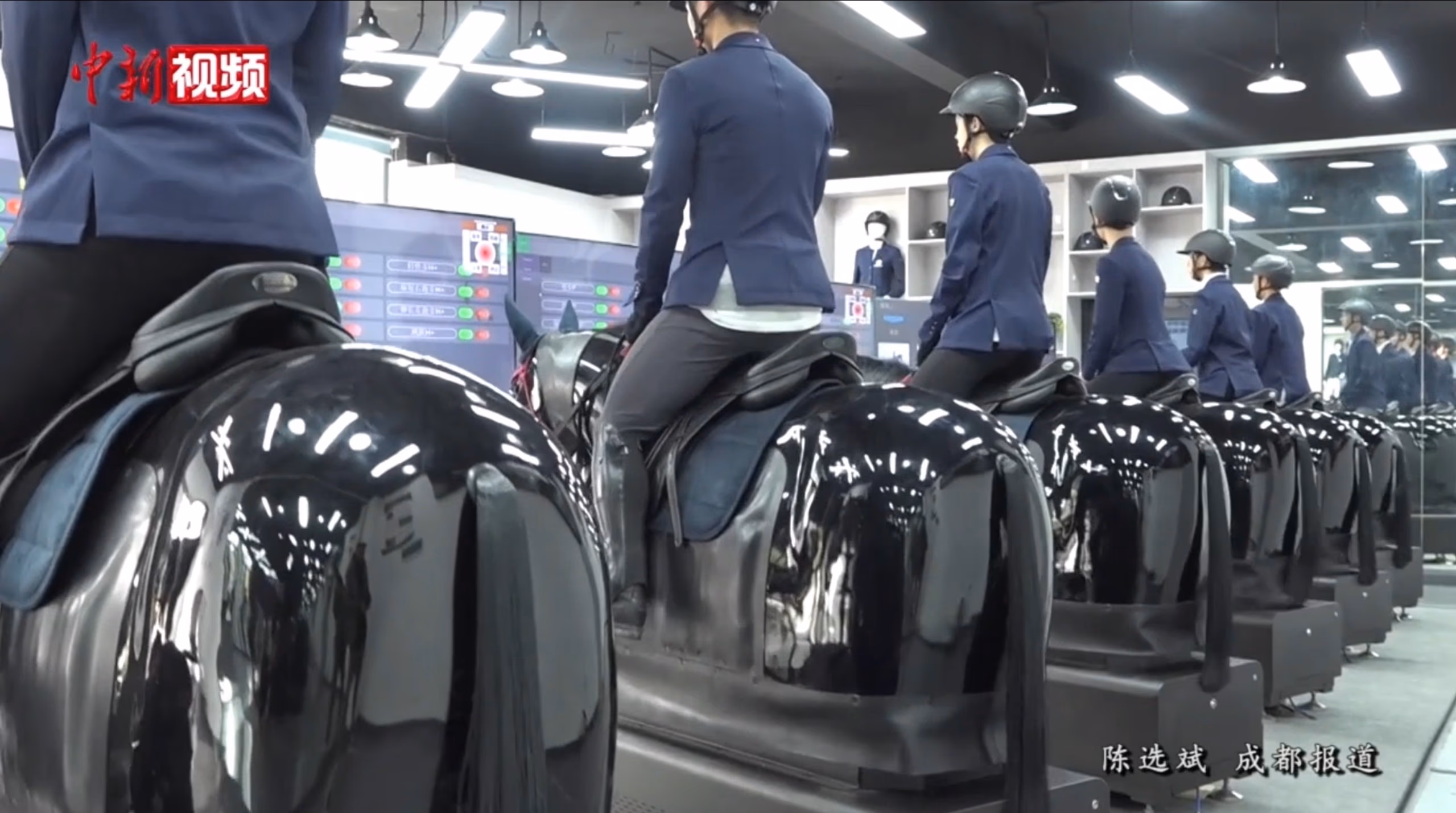 School and educational institution equestrian simulator