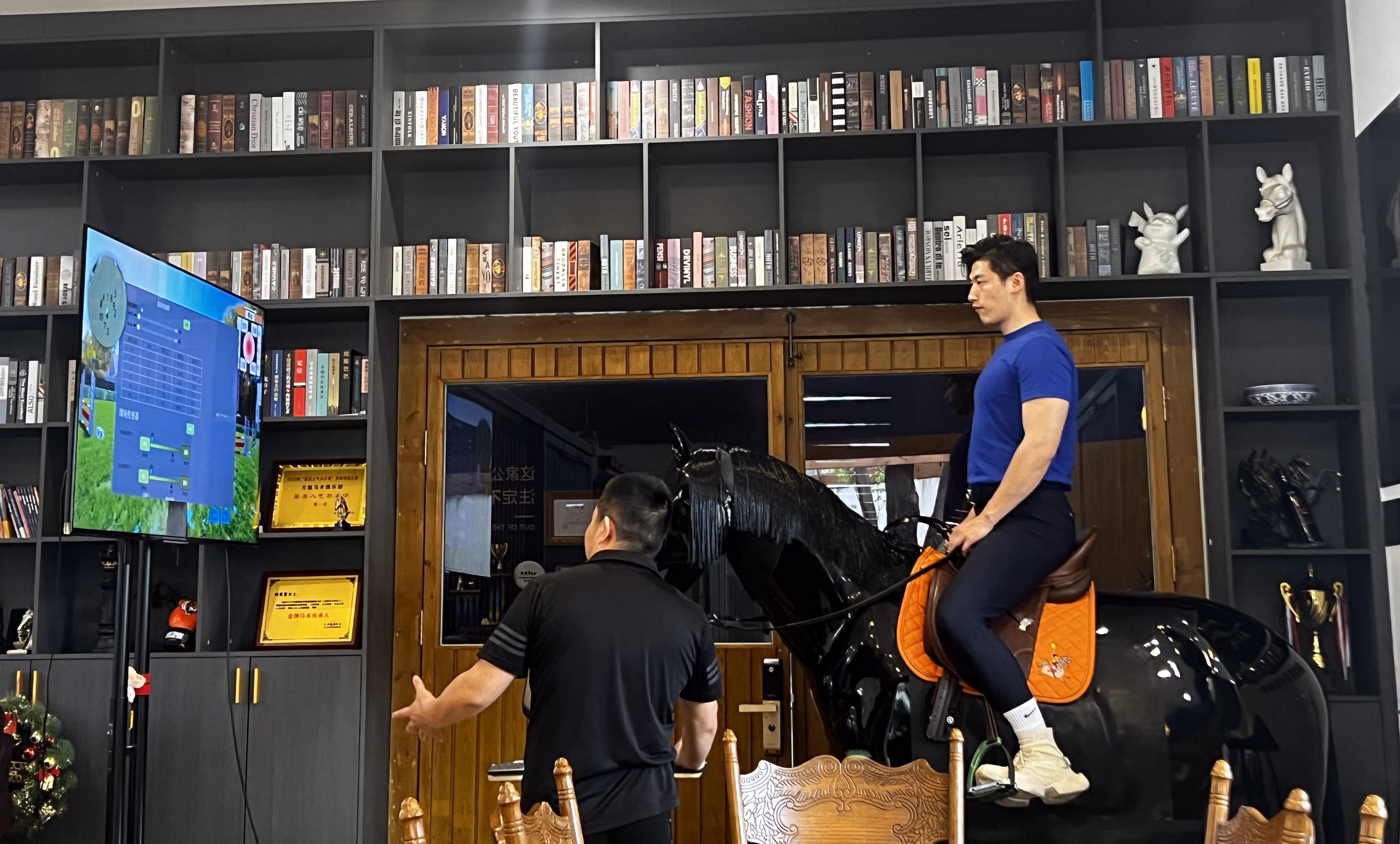 Home and personal rider equestrian training